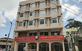 Astoria Veg-A Vegetarian Hotel